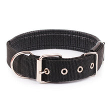 Load image into Gallery viewer, Solid Dog Collars  Nylon Dog Collar For Small Medium Large Dogs Teddy Keji Pitbull Bulldog Beagle
