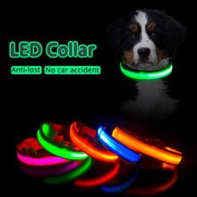 Load image into Gallery viewer, USB Charging Led Dog Collar Anti-Lost/Avoid Car Accident Collar For Dogs Puppies Dog Collars Leads LED Supplies Pet Products
