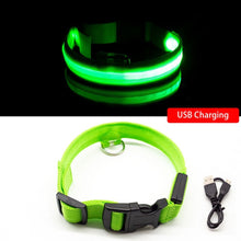 Load image into Gallery viewer, USB Charging Led Dog Collar Anti-Lost/Avoid Car Accident Collar For Dogs Puppies Dog Collars Leads LED Supplies Pet Products
