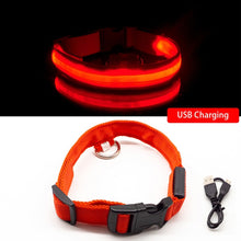 Load image into Gallery viewer, USB Charging Led Dog Collar Anti-Lost/Avoid Car Accident Collar For Dogs Puppies Dog Collars Leads LED Supplies Pet Products
