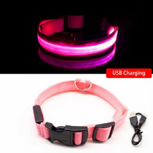 Load image into Gallery viewer, USB Charging Led Dog Collar Anti-Lost/Avoid Car Accident Collar For Dogs Puppies Dog Collars Leads LED Supplies Pet Products
