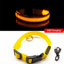 Load image into Gallery viewer, USB Charging Led Dog Collar Anti-Lost/Avoid Car Accident Collar For Dogs Puppies Dog Collars Leads LED Supplies Pet Products
