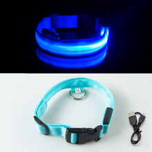 Load image into Gallery viewer, USB Charging Led Dog Collar Anti-Lost/Avoid Car Accident Collar For Dogs Puppies Dog Collars Leads LED Supplies Pet Products
