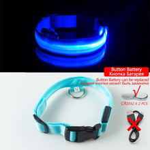 Load image into Gallery viewer, USB Charging Led Dog Collar Anti-Lost/Avoid Car Accident Collar For Dogs Puppies Dog Collars Leads LED Supplies Pet Products
